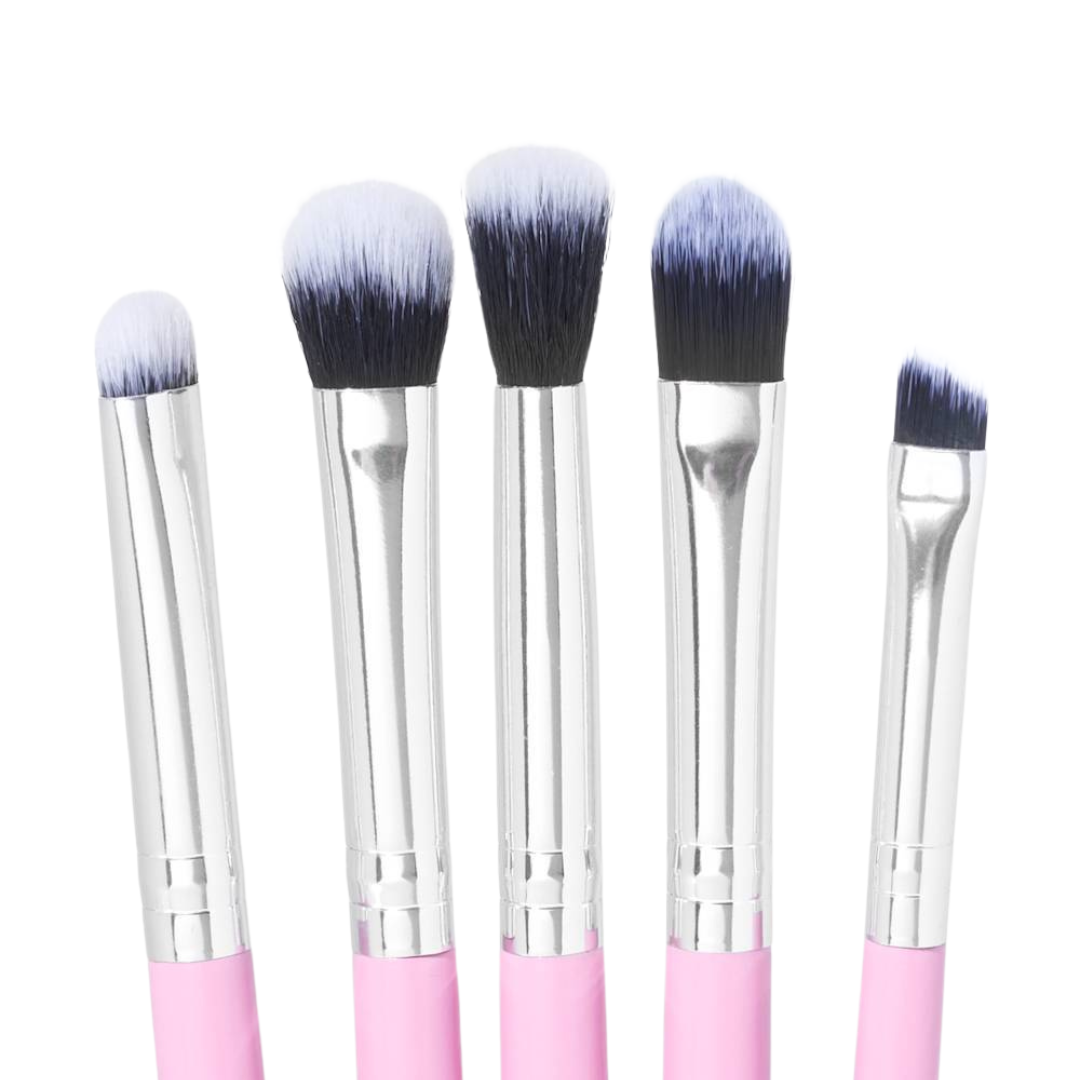 10 Piece Brush Kit