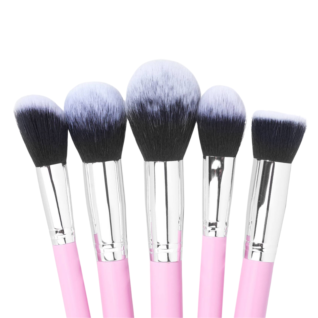 10 Piece Brush Kit